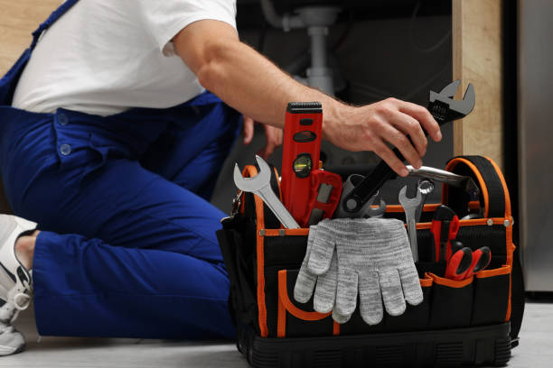 Best Commercial Plumbing Services  in Fowler, CO